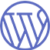 Wordpress development